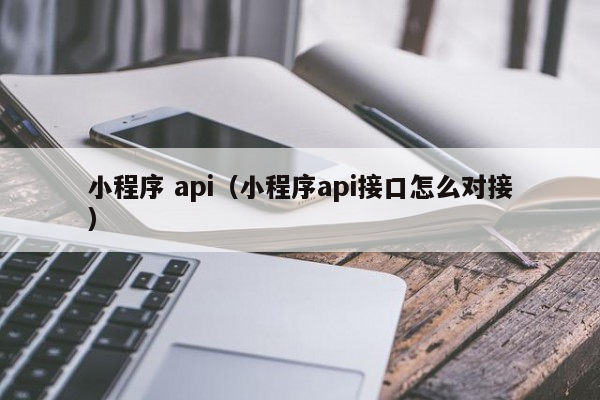 小程序api