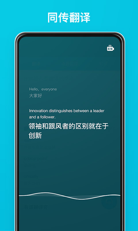 有道翻译插件