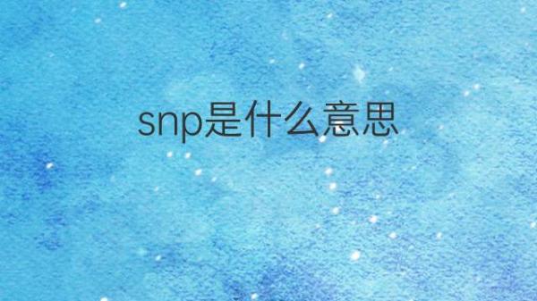 snp是什么意思