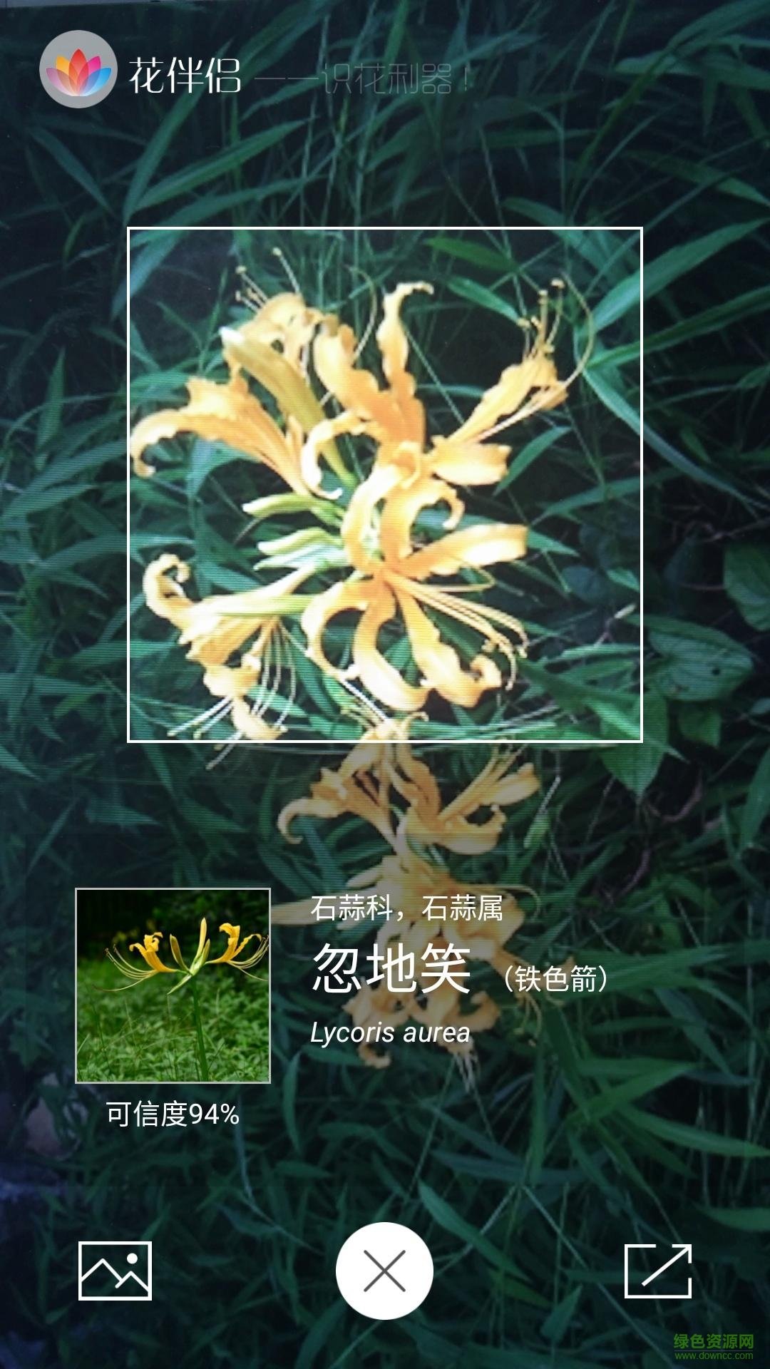手机识别植物