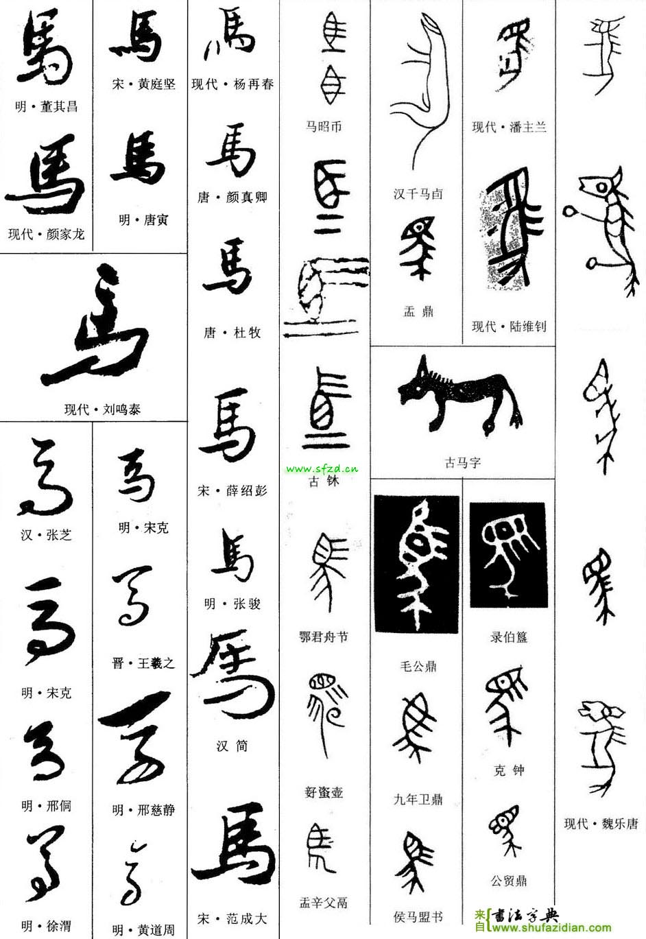 马大读什么