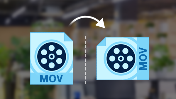 mov格式