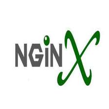 nginx版本