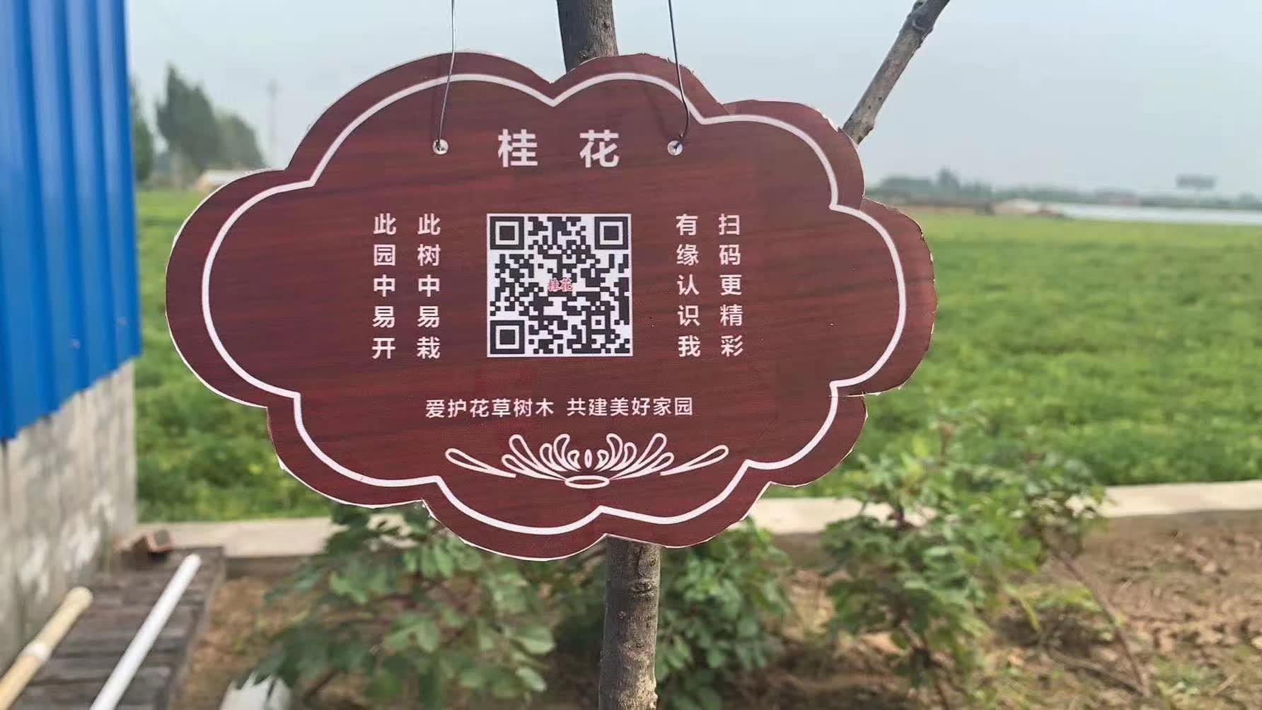 百度二维码生成器
