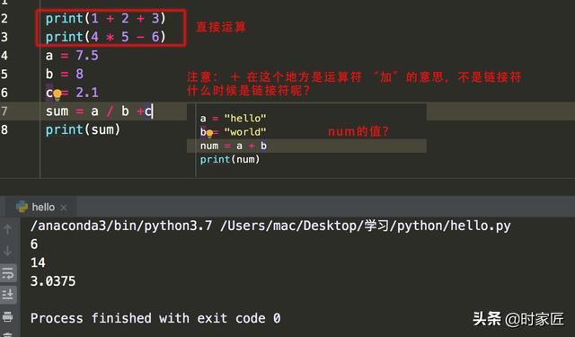 python除法