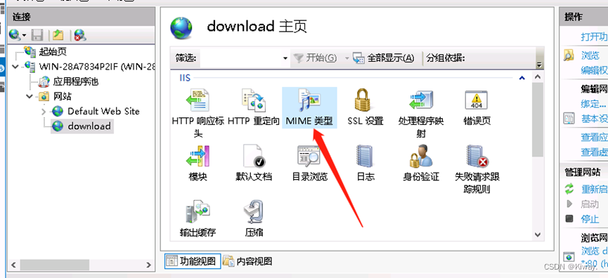 iis服务器