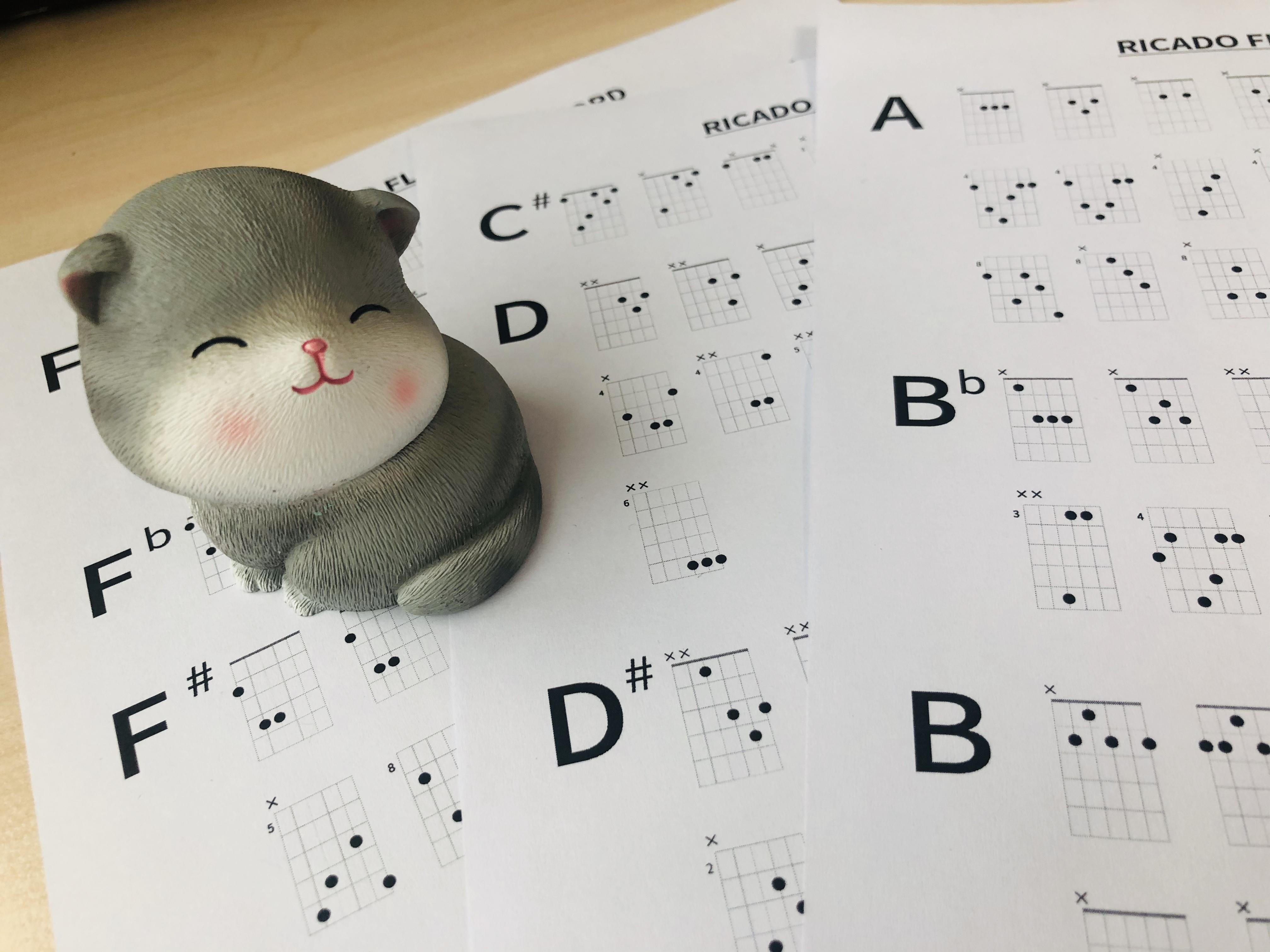 solo音乐术语