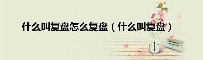 什么叫复盘