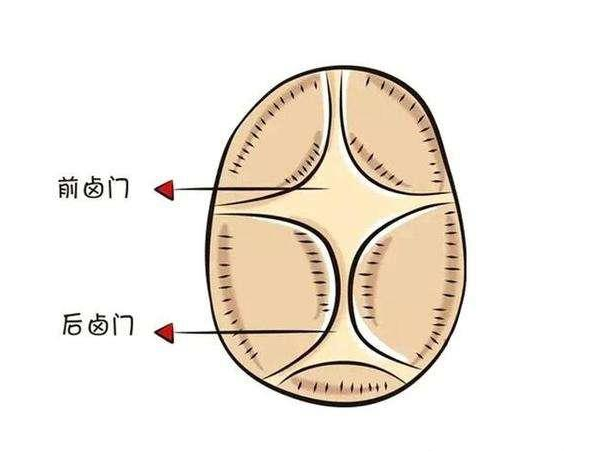 前站