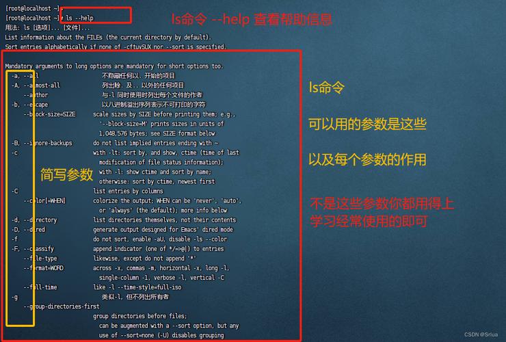 export命令