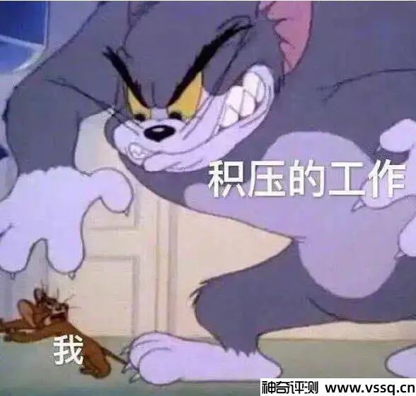 ddl是什么意思