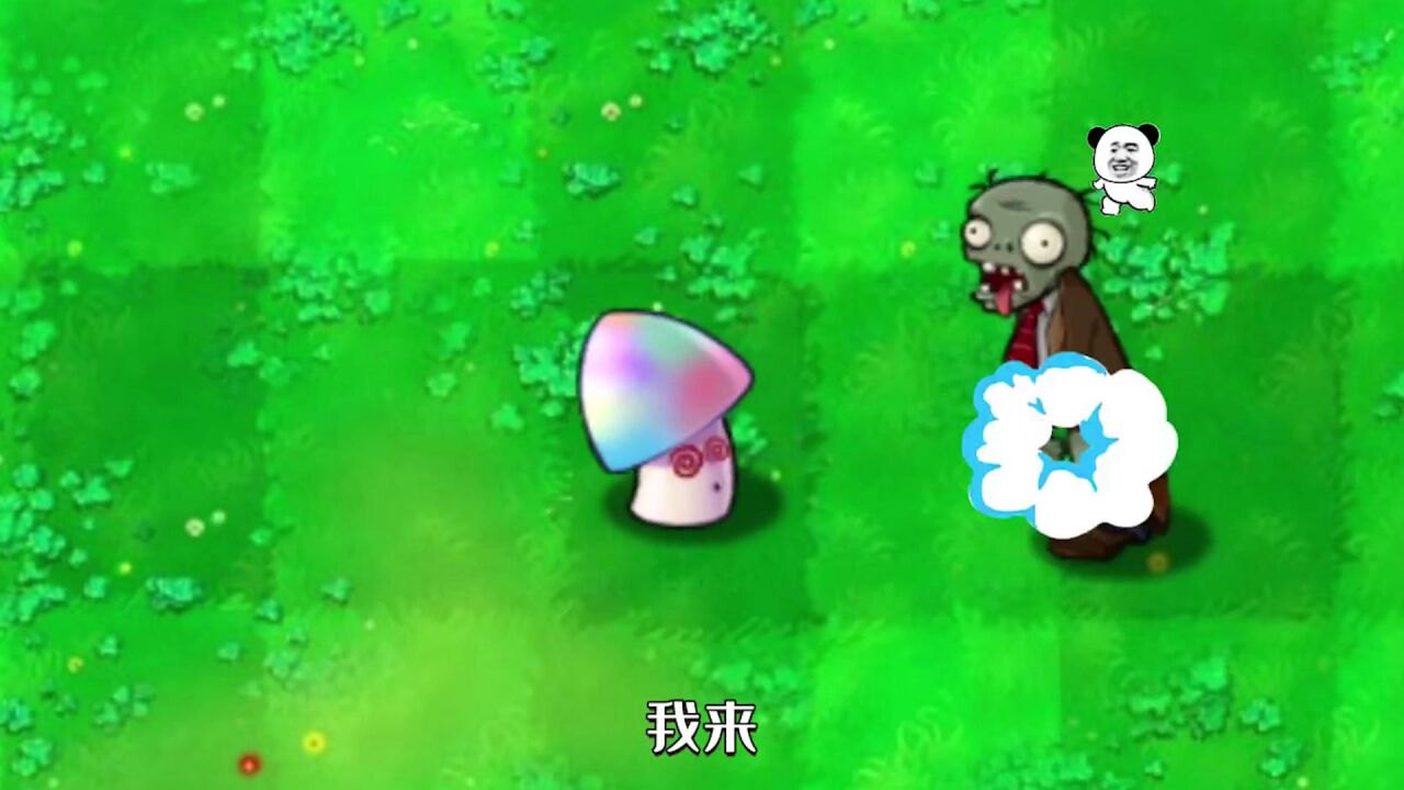 魅惑菇图片