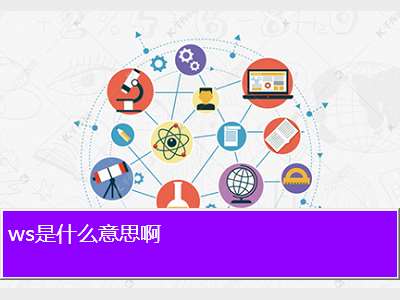 bws是什么意思