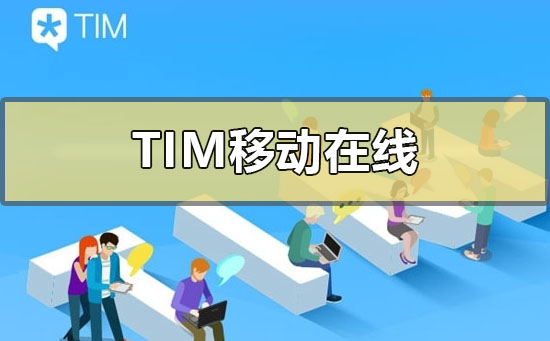 tim在线