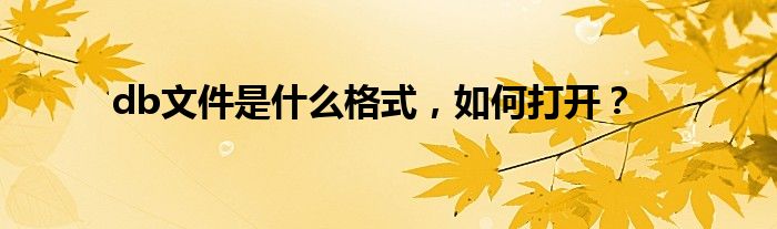 db文件是什么
