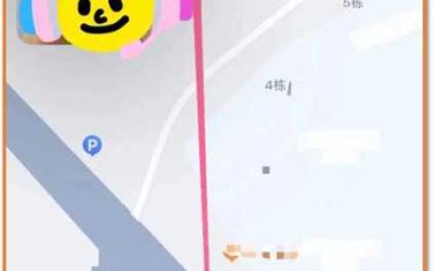 cpdd啥意思