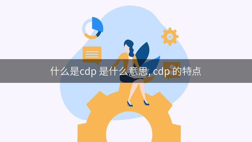 ecs是什么意思
