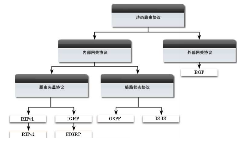 距离矢量路由协议