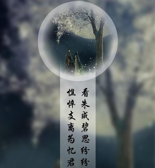 君上是什么意思