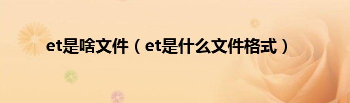 et是什么格式