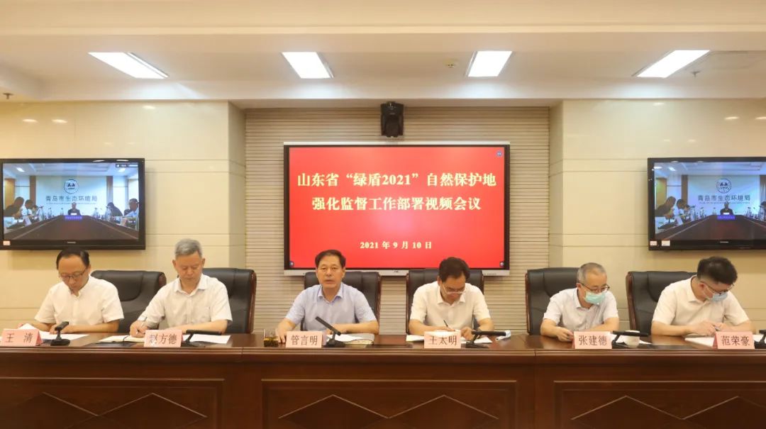 绿盾