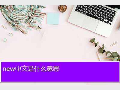 new什么意思
