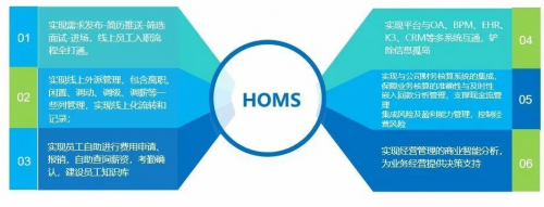homs系统