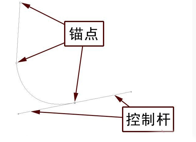 锚点链接