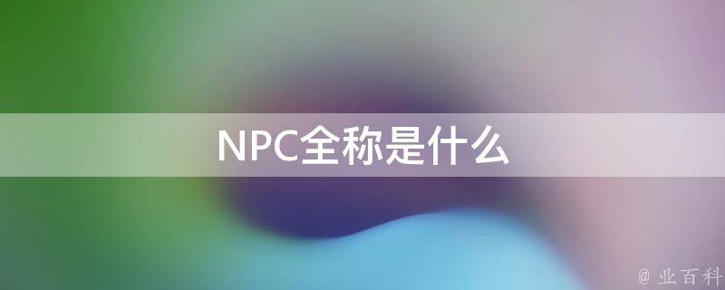 npc全称