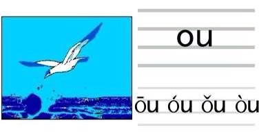 拼音ou怎么读