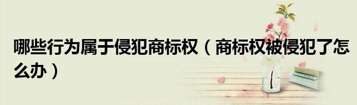 商标权人对他人域名的抢夺行为属于