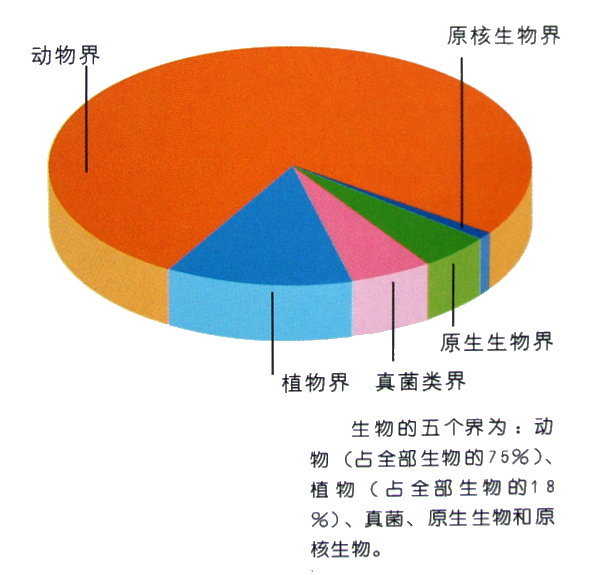 分类系统