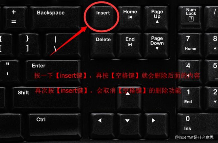 insert函数