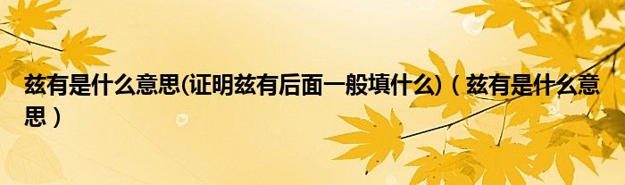 如有是什么意思