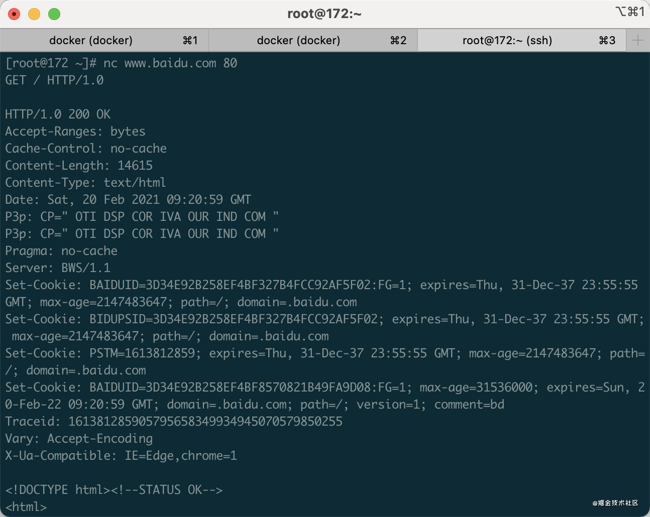 netcat