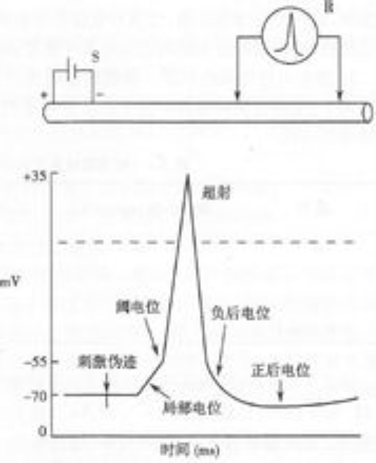 电位的概念