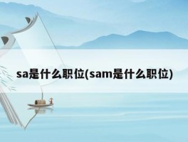 sa是什么岗位