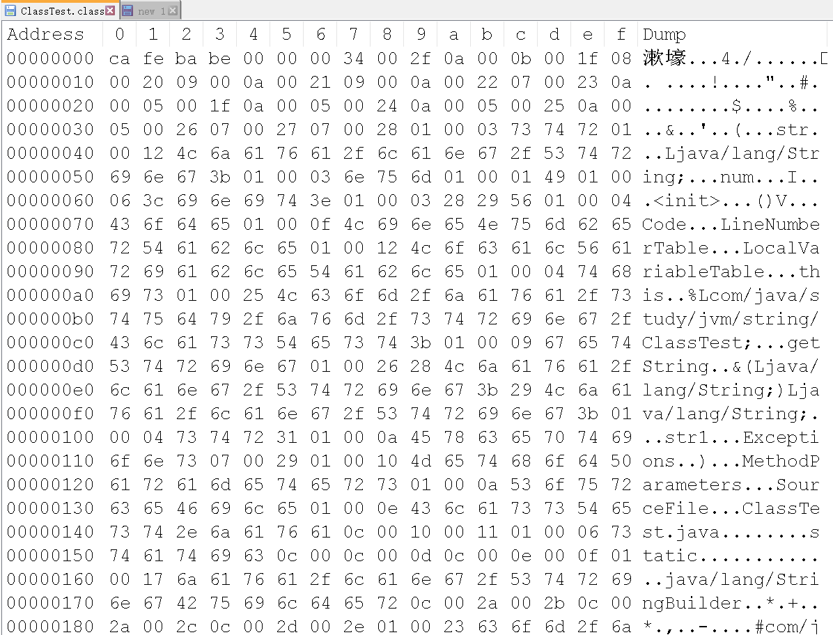 二进制文件