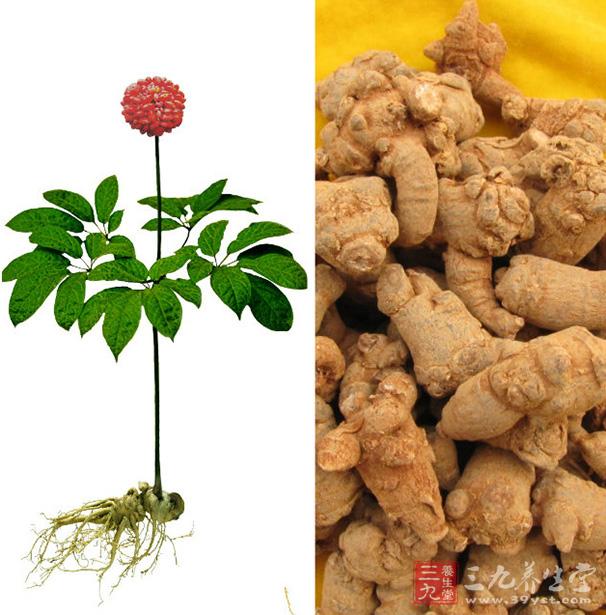 237是什么意思