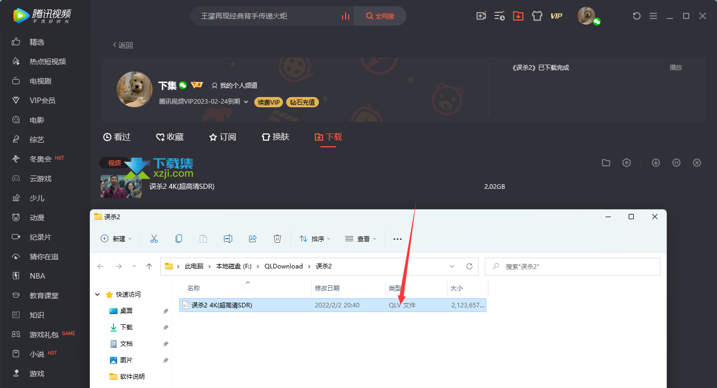 qlv是什么文件