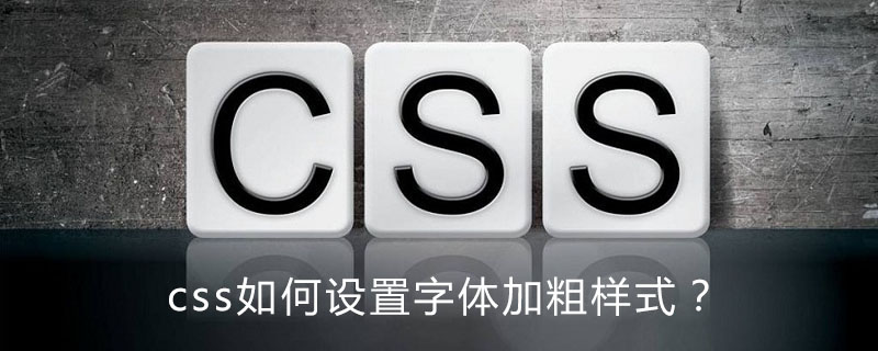 css加粗