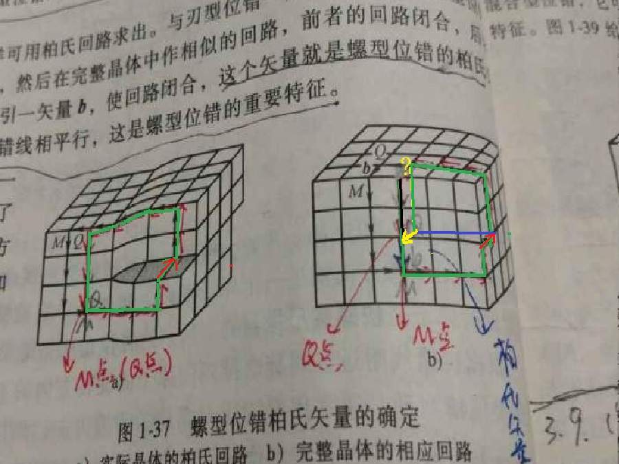 矢量是什么