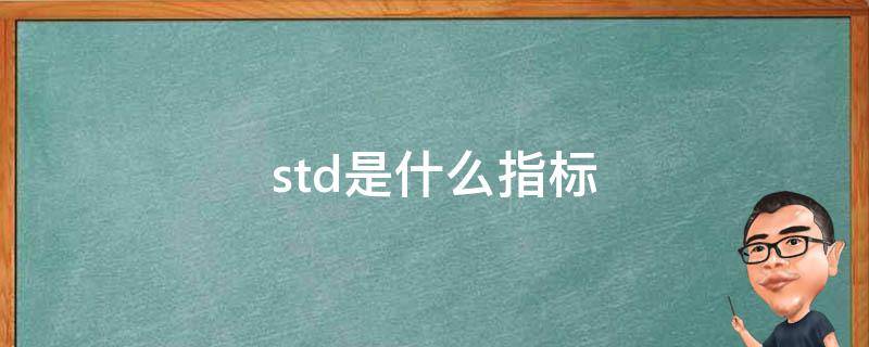std是什么