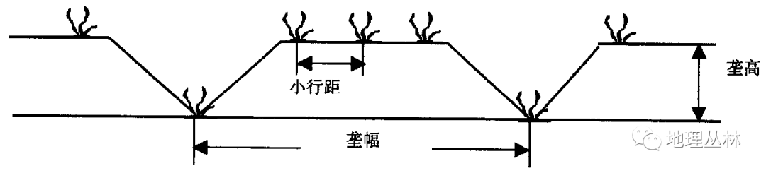 二台是什么意思
