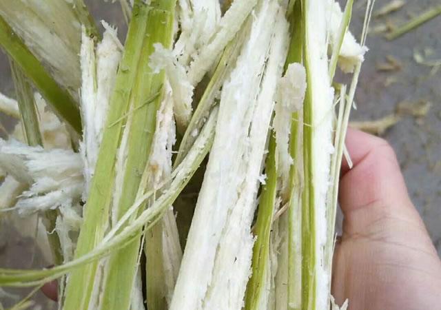还原问题