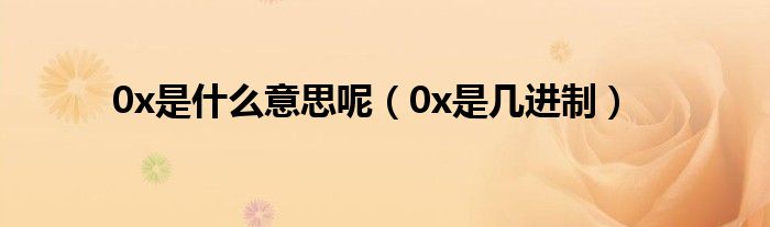 0h是什么意思
