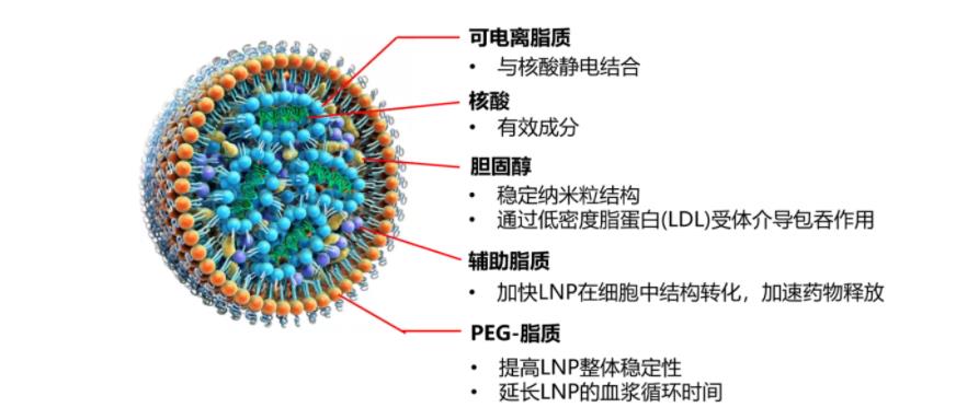 lnp是什么意思