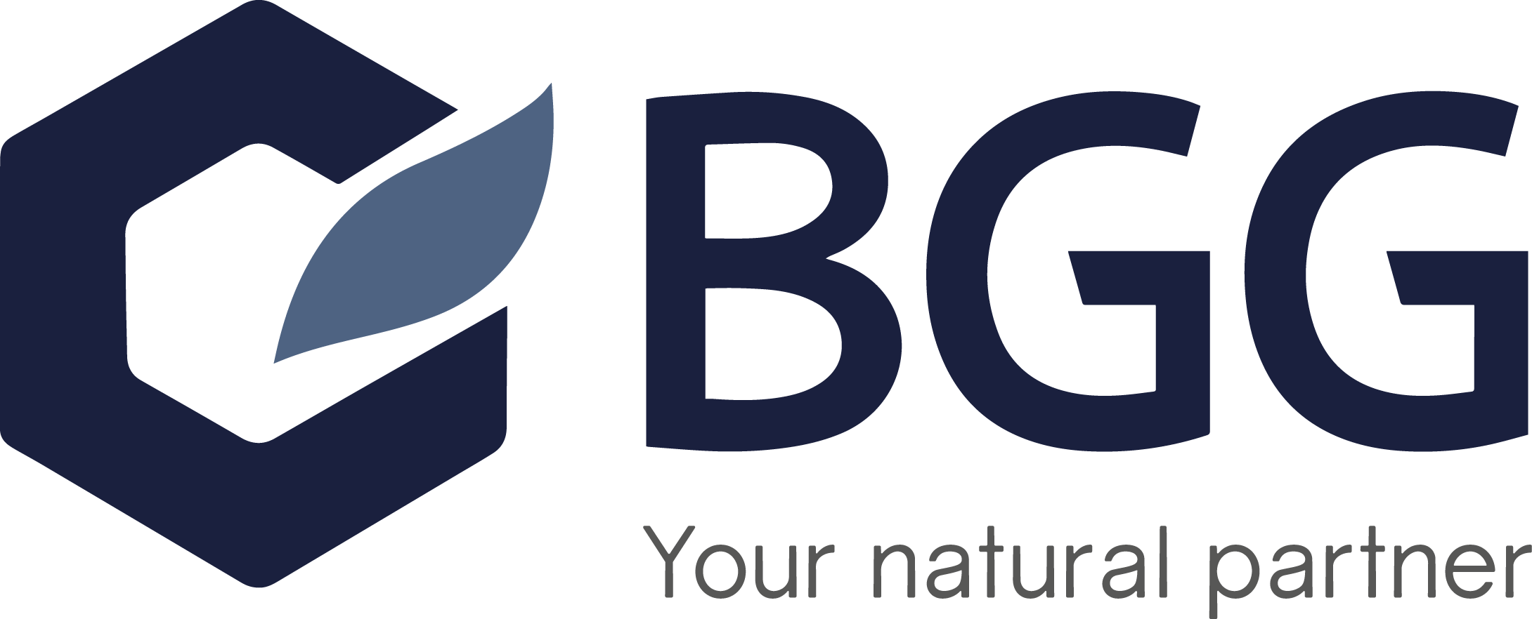 bgg