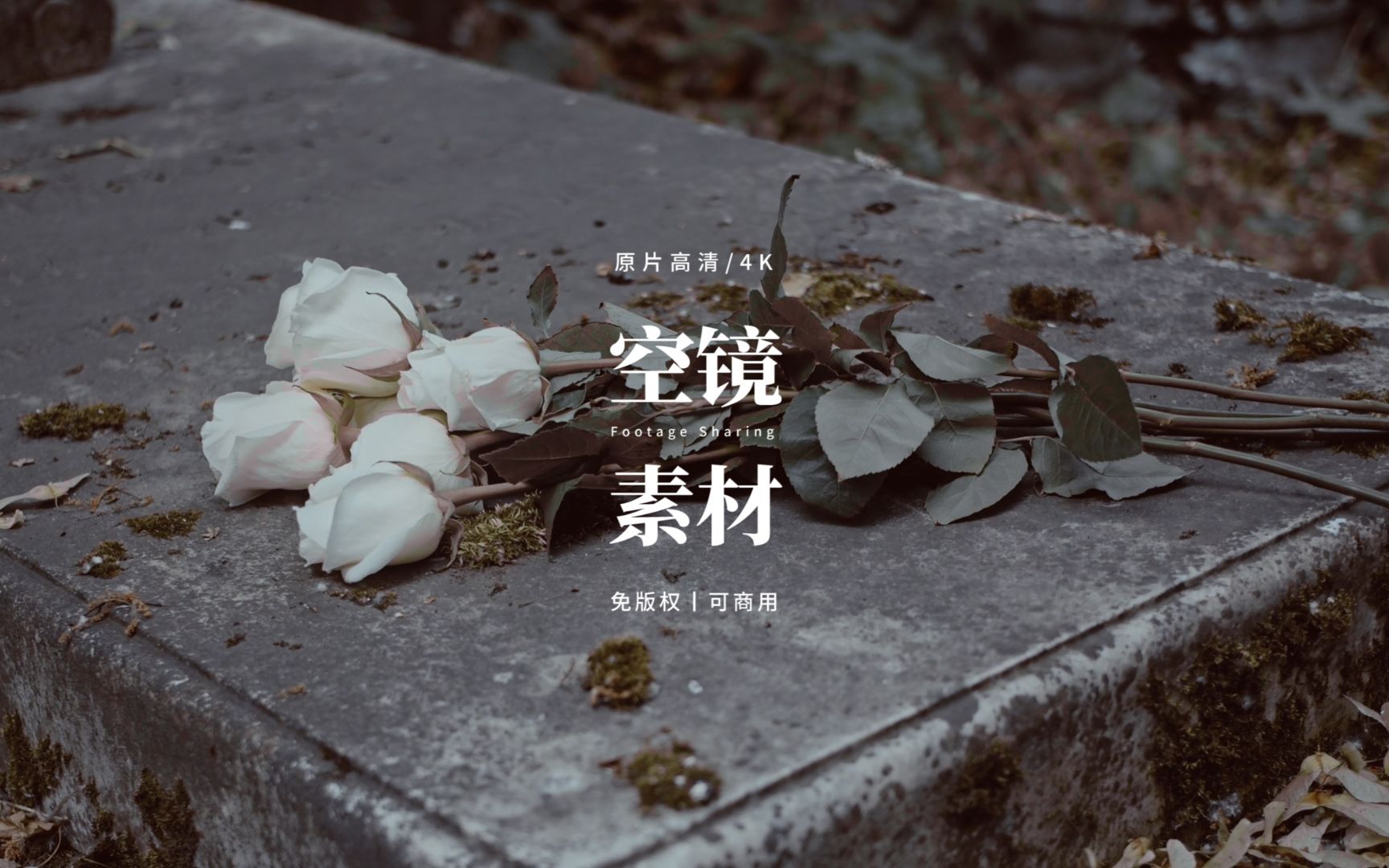 免空