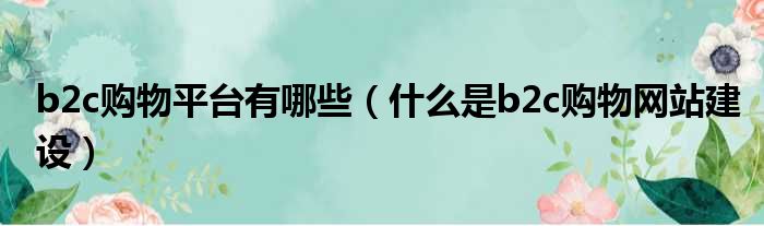 b2c购物